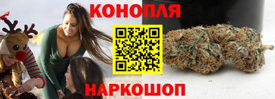 прущие крисы Сланцы