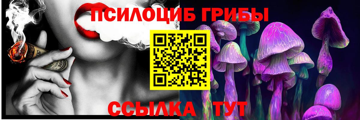 Галлюциногенные грибы мицелий Советская Гавань