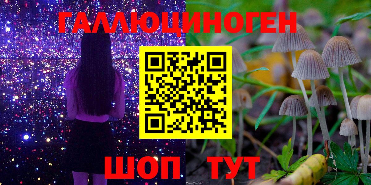 Псилоцибиновые грибы Magic Shrooms  Вход с VPN  Советская Гавань 